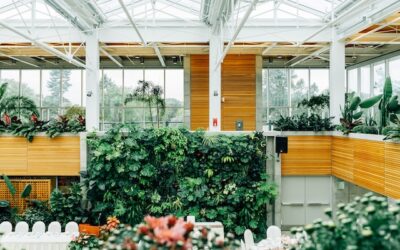 Plantenmuren op kantoor – de voordelen en waar je aan moet denken als je er een wil