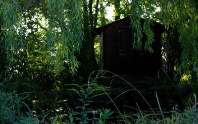 Waarom zijn goedkope tuinhuisjes altijd een hoofdpijn?